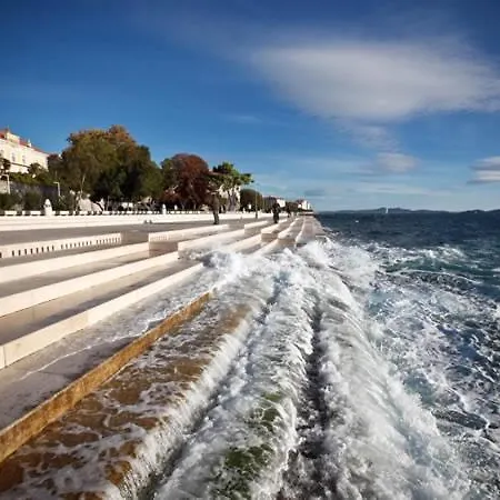 Suzy * Zadar